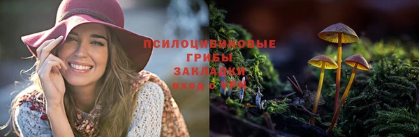 первитин Богородск