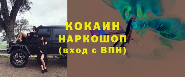 эйфоретик Богданович