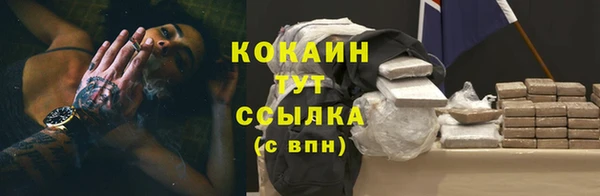 эйфоретик Богданович