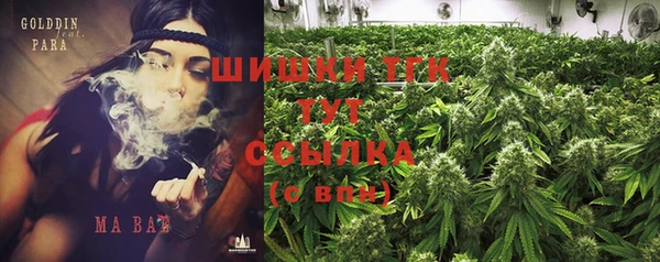эйфоретик Богданович