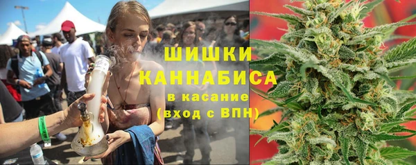 ALPHA PVP Богородицк