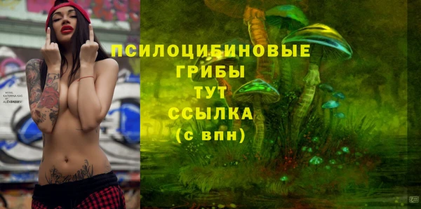 ALPHA PVP Богородицк