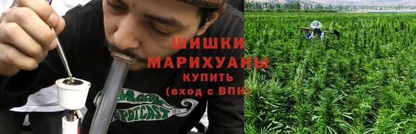 ALPHA PVP Богородицк