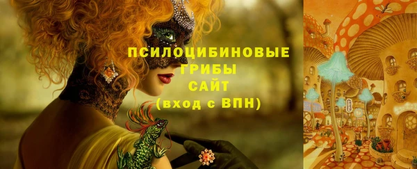 эйфоретик Богданович