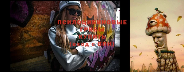 эйфоретик Богданович
