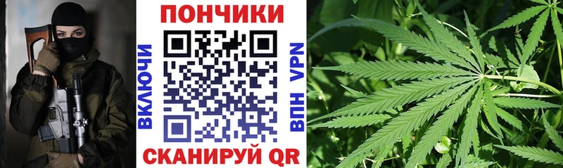 Бошки марихуана сатива  mega ссылки  Крым 